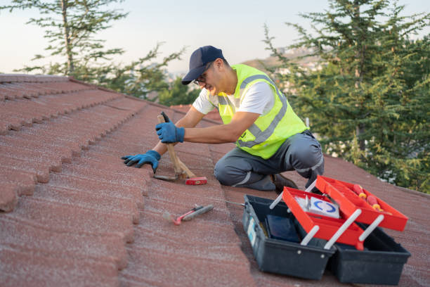 Best Metal Roofing Contractor  in Granite Falls, MN